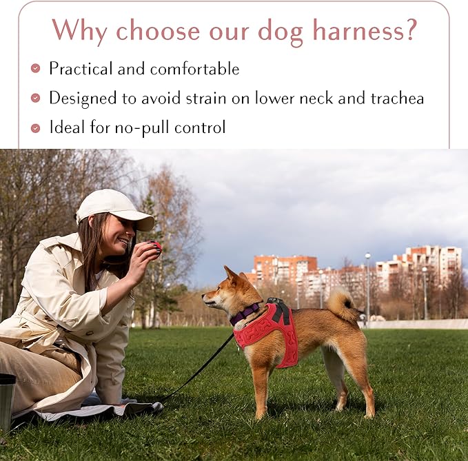 Comfort Fit No Pull Dog Harness – Adjustable Step-in Vest for Small, Medium & Large Dogs, Soft Padded with Leash Clips, Reflective Straps & Handle