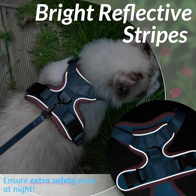 rabbitgoo Cat Harness and Leash for Walking, Escape Proof Soft Adjustable Vest Harnesses for Cats, Easy Control Breathable Reflective Strips Jacket, Light Blue&Pink, M
