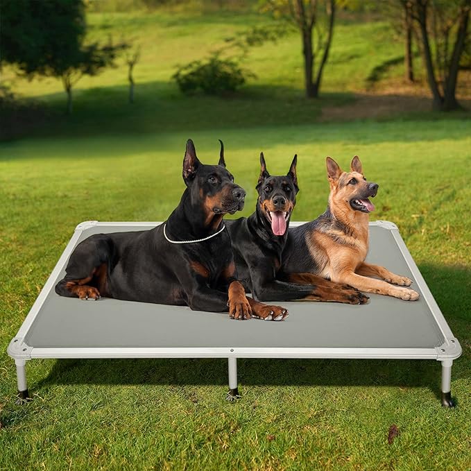 Veehoo Chew Proof Elevated Dog Bed - Cooling Raised Pet Cot - Silver Aluminum Frame and Durable Textilene Mesh Fabric, Unique Designed No-Slip Feet for Indoor or Outdoor Use, Grey, XX-Large, CWC2003