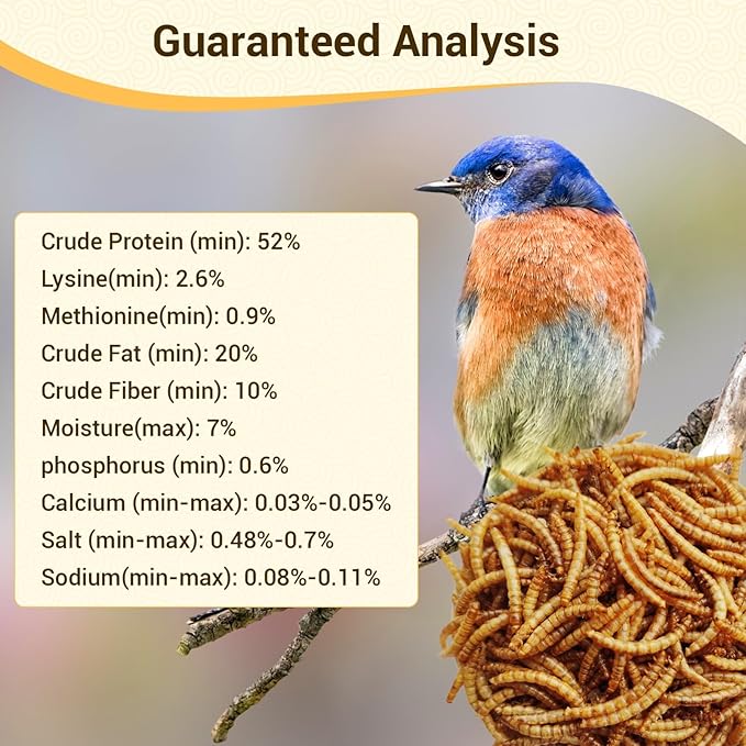 10lbs Mealworms, High-Protein Dried Mealworms for Birds, Chickens, Turtles, Fish, Hamsters and Hedgehogs, Non-GMO and Chemical Free, All Natural Animal Feed