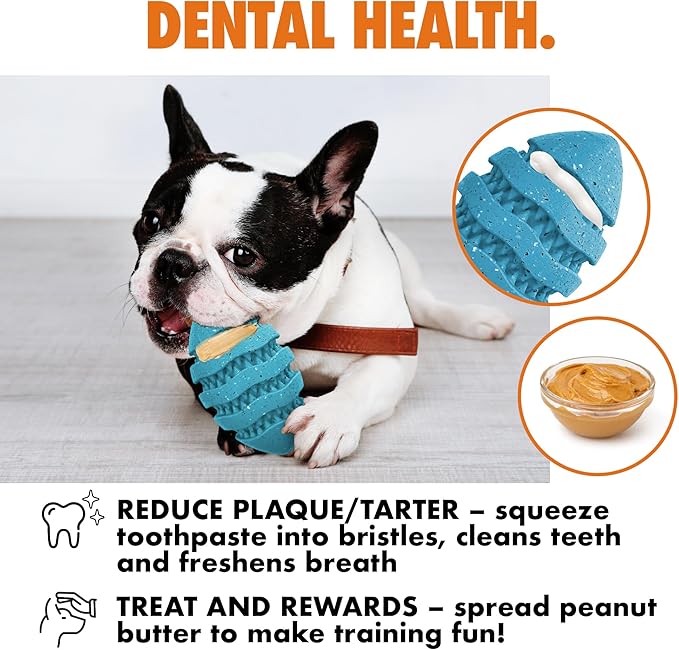 Max Fusion with Nike Grind, Arlee Spiro Football Treat Dispensing Dog Toy, Durable Dog Treat Toy, XL
