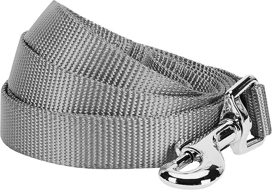 Blueberry Pet Essentials Flint Gray Dog Leash for Small -5' * 5/8" Dogs | Heavy Duty Nylon Lead | Lightweight Puppy & Cat Leash for Walking & Training