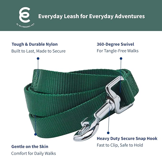 Blueberry Pet Essentials Verdant Green Dog Leash for Small -5' * 5/8" Dogs | Heavy Duty Nylon Lead | Lightweight Puppy & Cat Leash for Walking & Training