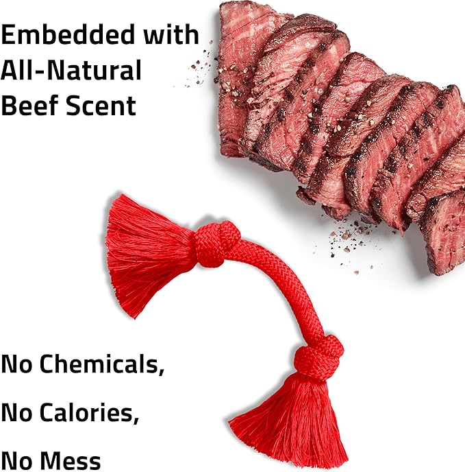 Playology Dog Toys | Dri-Tech Rope Toy Tug of War Rope for Aggressive Chewers | Medium Beef Scented Toy - Easy to Clean and Made from Non Toxic Materials