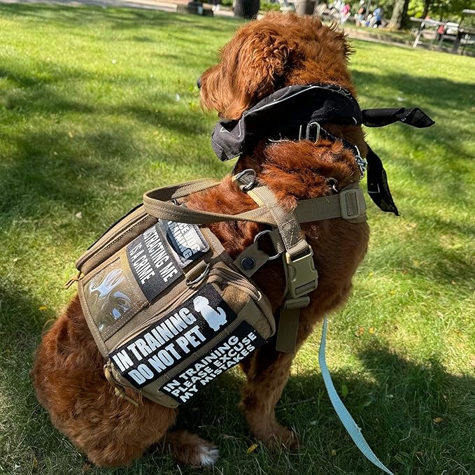 OneTigris Service Dog Vest Harness, Service Dog Cape Guardian Dog Backpack Harness with Pouches Dog Saddle Bag for Small Medium and Large Dogs (Brown, Small)