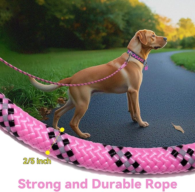 Nylon Dog Leash 6FT 10FT 20FT 30FT Diameter 2/5 Inch with Comfortable Silicone Handle Highly Reflective No Tangle for Medium Large Dogs Outside Walking Camping Backyard. (Pink, 6FT)