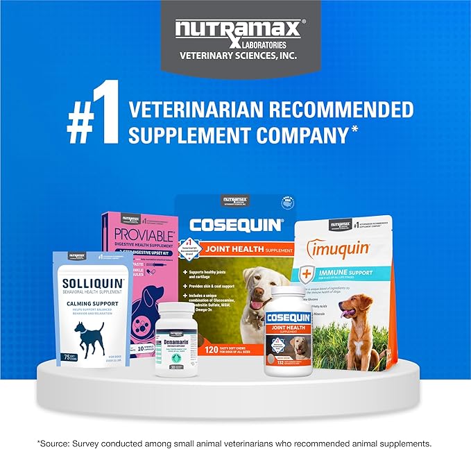 Nutramax Laboratories Cosequin DS Double Strength Chewables 132 Count