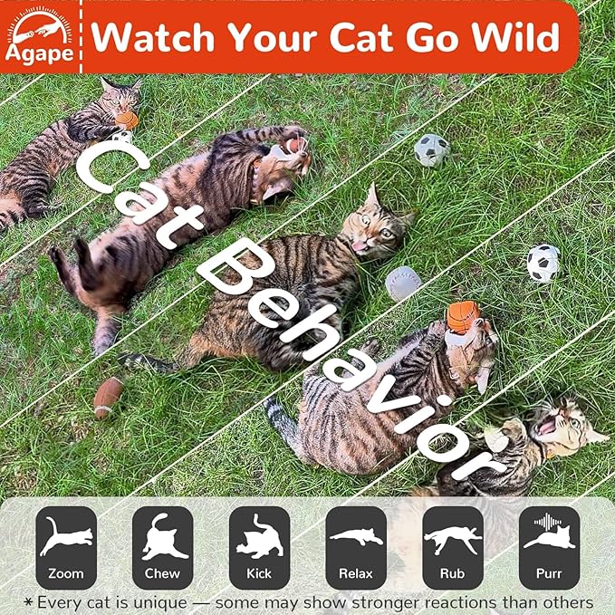 Agape Natural Cat Toys, 100% Catnip & Silvervine Filled, Interactive Chew and Kicker Balls for Indoor Cats, Enrichment and Teeth Cleaning Fun for Bored Cats and Kittens, 4 Pack Crinkle Cat Toys