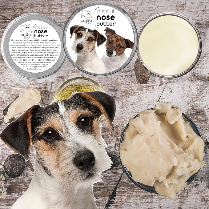 The Blissful Dog Jack Russell Terrier Nose Butter for Dry, Cracked Skin, Lick-Safe Dog Nose Balm with Moisturizing Shea Butter, Almond, Olive, and Essential Oils, Pet Supplies, Uncented, 1 oz.