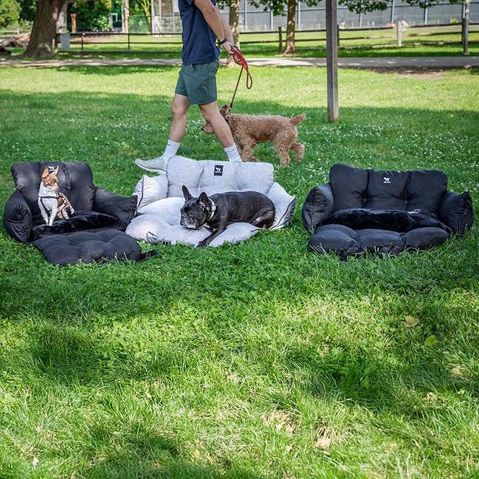 JACKO & CO - Premium Dog Car Seat v2 Booster Seat for Small & Medium Pets Under 25lbs - Machine Washable w Removable Cover, Water Resistant w Clip-On Leash for Front or Back Seat (Grey/Small (1-25lbs)