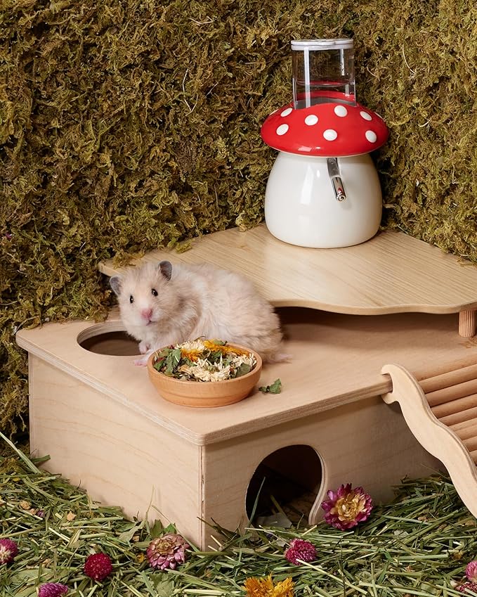 Niteangel Hamster Snack & Treats Toy: - Small Animal Natural Treat Mix for Dwarf Syrian Robo Hamsters Gerbils Mice Lemmings Degus or Other Small-Sized Pets (Vegetable Combo)