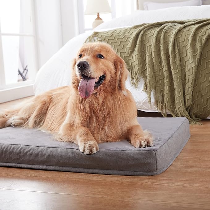 Orthopedic Memory Foam Bed for Large Dogs, Waterproof Cooling Pet Mats for Crate with Removable Washable Cover,Ideal for Arthritic Dogs (Large plus-36"x 27" x 3", Short Plush)