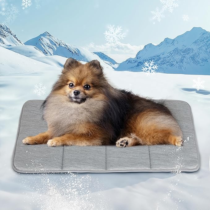 Dog Cooling Mat for Small Dogs - 24x18 Orthopedic Memory Foam Pet Pad for Summer, QMAX>0.5, Washable Premium Comfort Crate Pad for Your Furry Companion, Grey