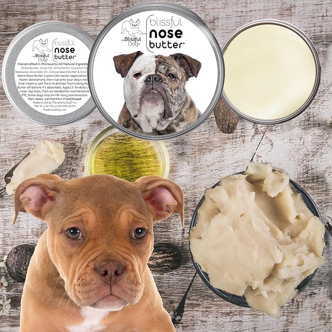 The Blissful Dog Olde English Bulldogge Unscented Nose Butter - Dog Nose Butter, 16 Ounce