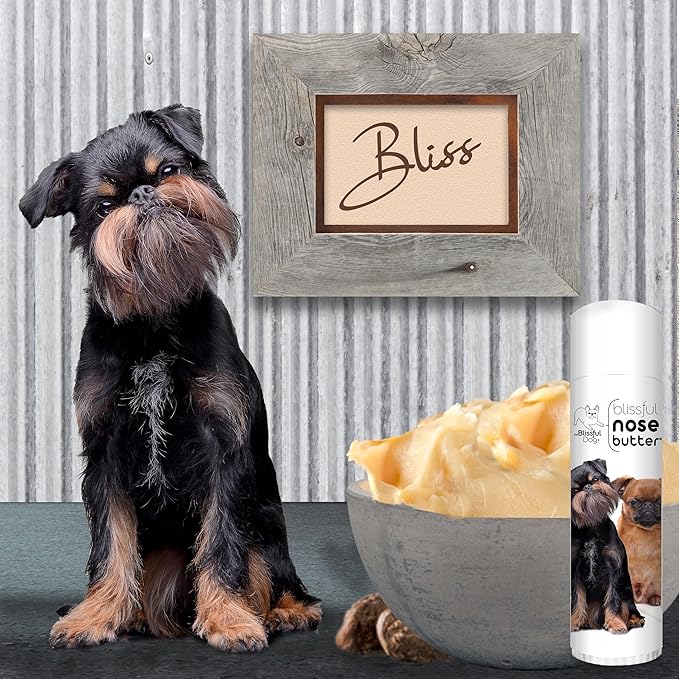The Blissful Dog Brussels Griffon Nose Butter for Dry, Cracked Skin, Lick-Safe Dog Nose Balm with Moisturizing Shea Butter, Almond, Olive, and Essential Oils, Pet Supplies, Uncented, 0.50 oz.