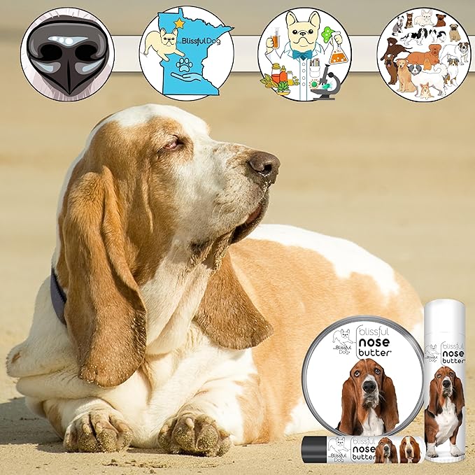 The Blissful Dog Basset Hound Nose Butter for Dry, Cracked Skin, Lick-Safe Dog Nose Balm with Moisturizing Shea Butter, Almond, Olive, and Essential Oils, Pet Supplies, Uncented, 8 oz.