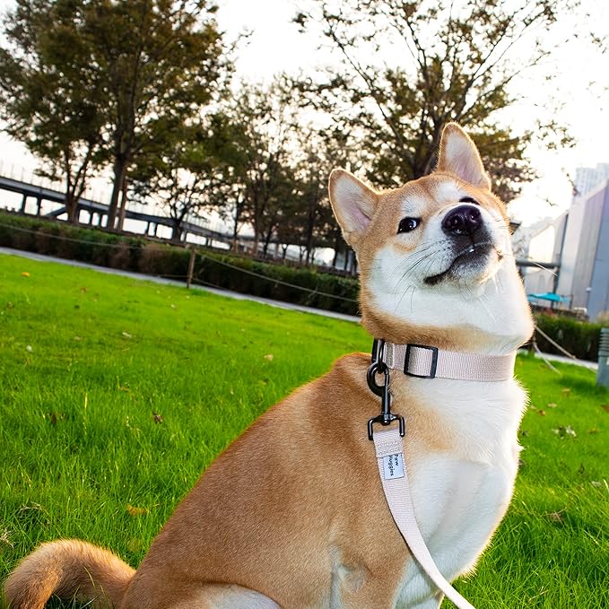 Beige Dog Collar for Small Dogs, Breathable, Anti-Odor & Soft, Comfortable for Sensitive Skin Puppies, 90% Bamboo Rayon, Adjustable Quick-Release Buckle Pet Collar for Chihuahuas Frenchie