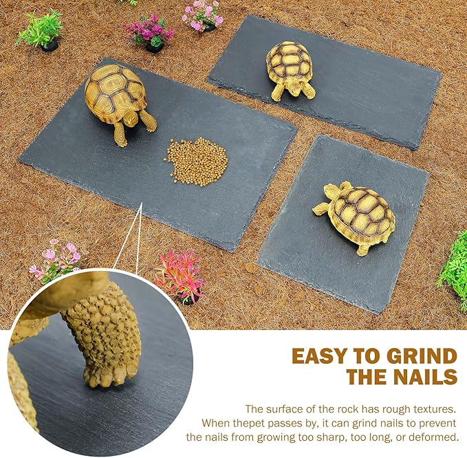 Tortoise Habitat basking Rock Feeding Dish Bearded Dragon/Lizard Original Rock Slab,Easy to Grind The Nails,with Non-Slip mats,Natural Food Bowl,Moisturizing Effect(Large- Size)