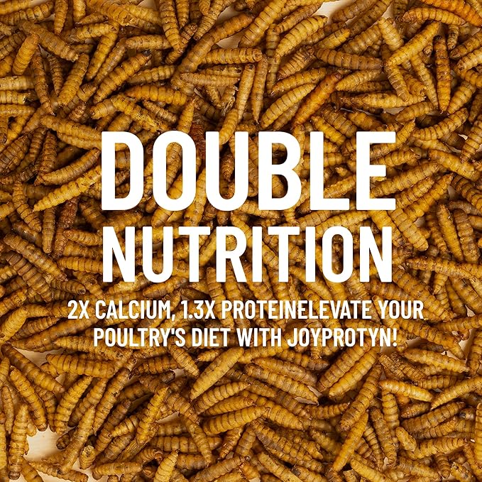 2LB Dried Black Soldier Fly Larvae for Chicken– 85X More Calcium Grubs Than Mealworms for Strong Eggshells & Healthy Growth - High Proteinfor Chickens, Birds, Ducks, Geese & Pets