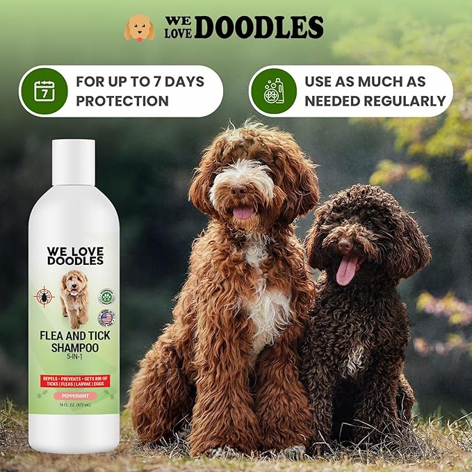 We Love Doodles Flea Shampoo for Dogs - Stops Fleas & Ticks for Dogs, Natural, Safe & Effective Lice Treatment, Soothing Shampoo for Sensitive Skin, Made in USA, 16 oz
