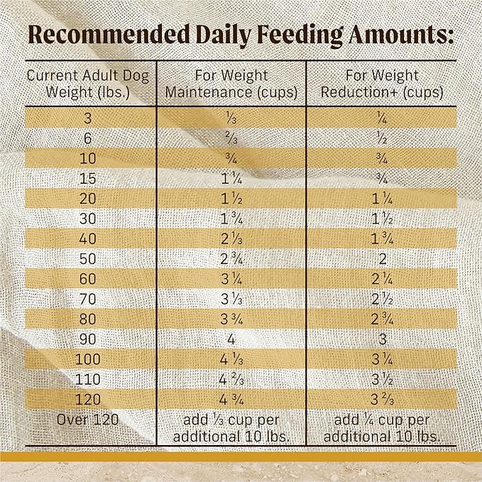 Merrick Healthy Grains Premium Adult Dry Dog Food, Wholesome And Natural Kibble With Chicken And Brown Rice - 12.0 lb. Bag
