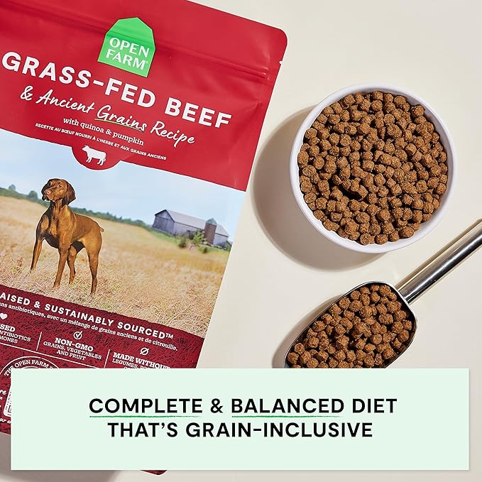 Open Farm, Ancient Grains Dry Dog Food, Protein-Rich & Nutrient Dense, 90% Animal Protein Mixed with Non-GMO Fruits, Veggies and Superfoods, Grass-Fed Beef Recipe, 11lb Bag