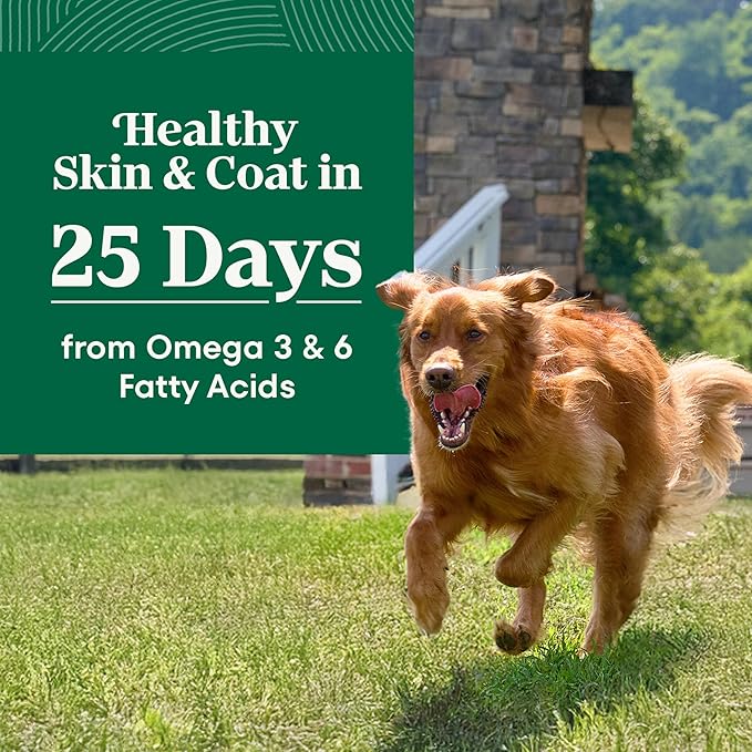 Nutro Natural Choice Chicken & Brown Rice Large Breed Senior Dog Food Dry Recipe, 30 lb. Bag