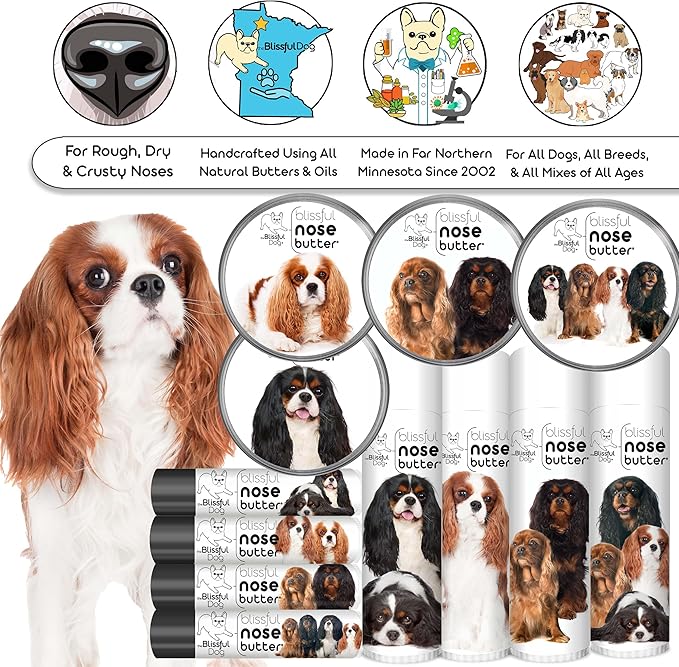 The Blissful Dog Cavalier King Charles Spaniel Unscented Nose Butter - Dog Nose Butter, 4 Ounce