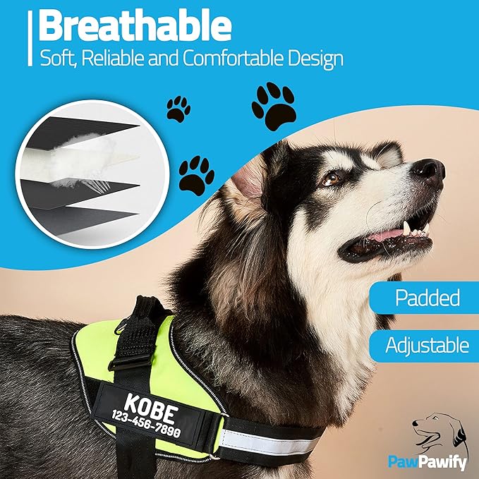 PawPawify Custom No Pull Dog Harness with Name and Phone Number, Heavy Duty Personalized Pet Vest to Prevent Tugging, Pulling, or Choking, Training and Walking (Green, XL (Chest 28-35in))