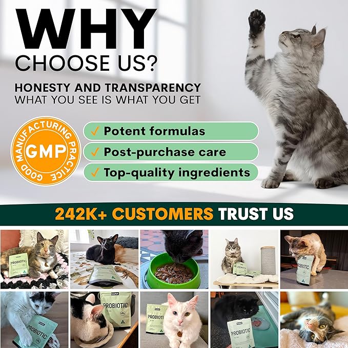 Probiotic for Cats & Kittens - Cat Probiotic Powder for Hairball Prevention, Digestive Support, Immune Health, Prebiotics, and Diarrhea Relief - Suitable for Indoor Cats & Kittens - 60 Scoops