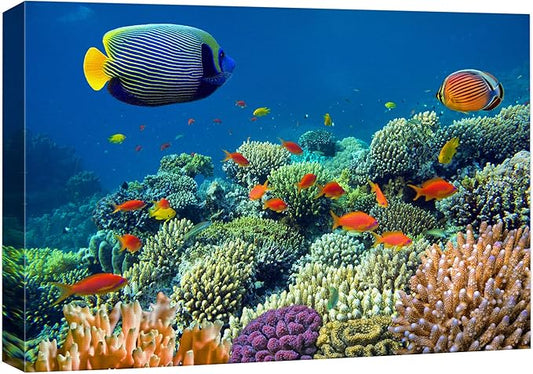 wall26 Canvas Print Wall Art Tropical Underwater Sea Coral Reef Fish Nature Animals Photography Realism Rustic Scenic Landscape Wilderness Earth Colorful for Living Room, Bedroom, Office - 16"x24"