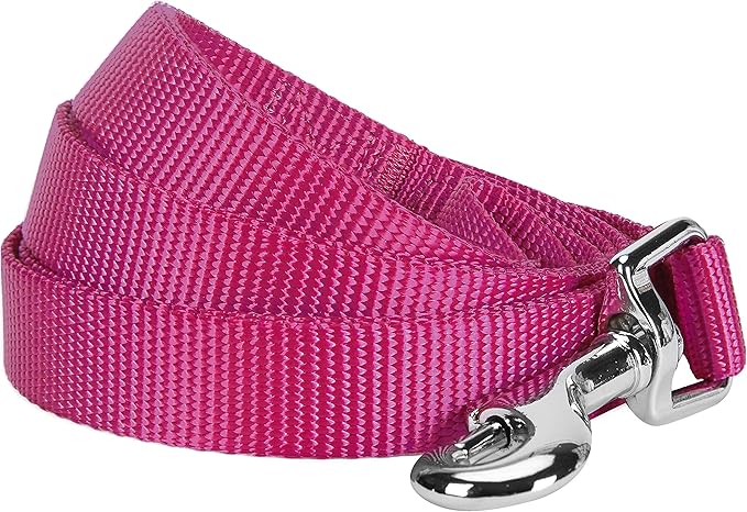 Blueberry Pet Essentials Very Berry Dog Leash for X-Small -5' * 3/8" Dogs | Heavy Duty Nylon Lead | Lightweight Puppy & Cat Leash for Walking & Training