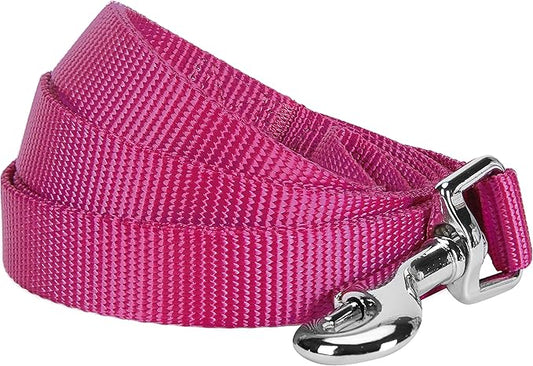 Blueberry Pet Essentials Very Berry Dog Leash for Large - 4' * 1" Dogs | Heavy Duty Nylon Lead | Lightweight Puppy & Cat Leash for Walking & Training