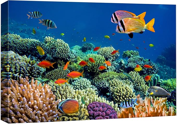 wall26 Canvas Print Wall Art Vibrant Coral Reef Underwater Panorama Nature Animals Photography Realism Rustic Scenic Landscape Wilderness Earth Colorful for Living Room, Bedroom, Office - 16"x24"