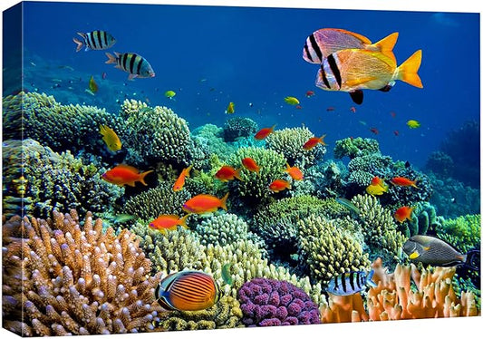 wall26 Canvas Print Wall Art Vibrant Coral Reef Underwater Panorama Nature Animals Photography Realism Rustic Scenic Landscape Wilderness Earth Colorful for Living Room, Bedroom, Office - 16"x24"