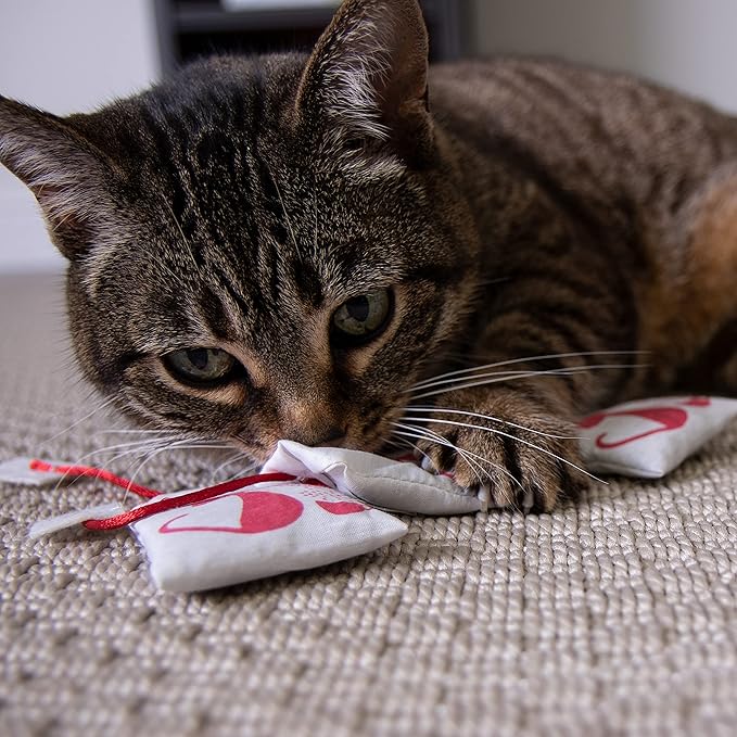 Petlinks (3 Set) Tea Zing Catnip Cat Toys - Randomly Selected Color, 3 Set