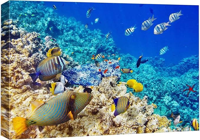wall26 Canvas Print Wall Art Underwater Neon Blue Teal Ocean Water Fish Nature Animals Photography Realism Rustic Scenic Landscape Wilderness Earth for Living Room, Bedroom, Office - 32"x48"