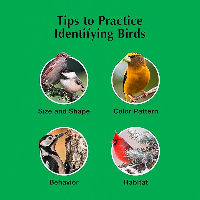 C&S Hot Pepper Suet Nuggets 27 Ounces