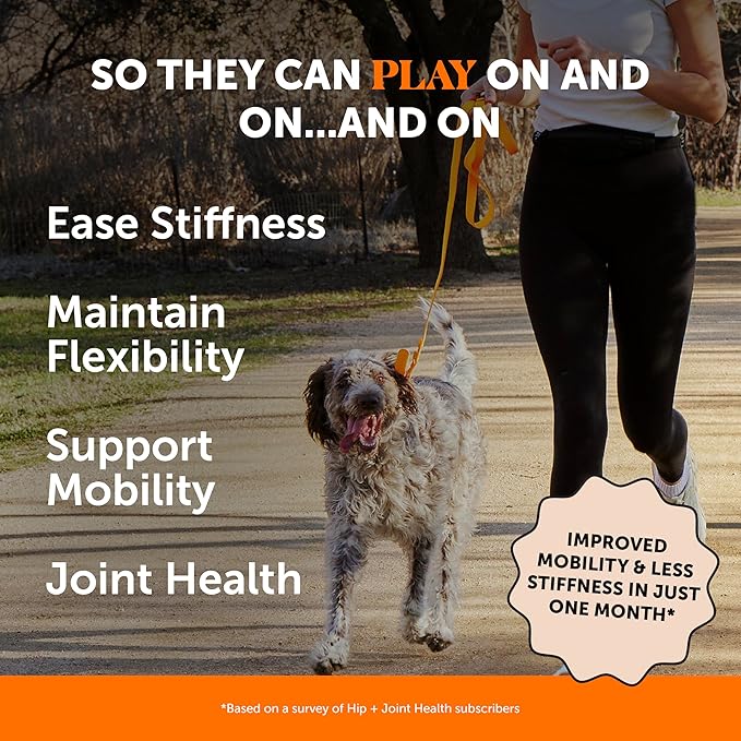 Hip & Joint Health - Glucosamine for Dogs Soft Chews, Joint Supplement for Dogs with Glucosamine Chondroitin, MSM, Turmeric, Anti Inflammatory, Support + Mobility (Chicken 90ct)