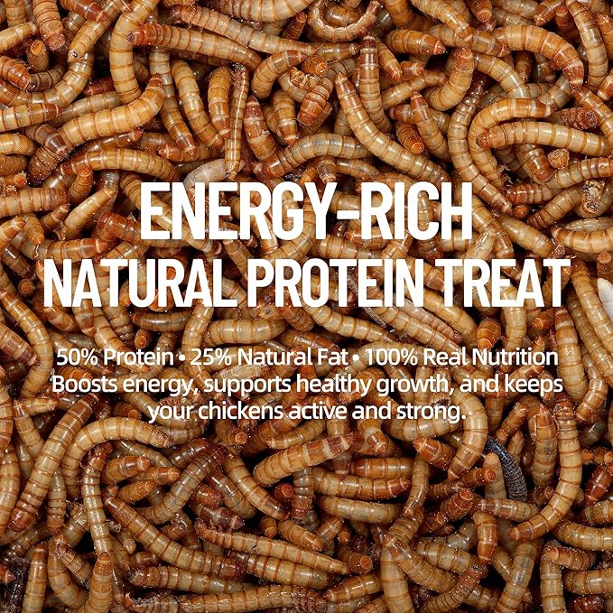 10LB Premium Non-GMO Dried Mealworms - High-Protein Natural Feed & Chicken Treats for Chickens, Ducks, Wild Birds, Quails & Reptiles - Support Egg Production & Feather Growth