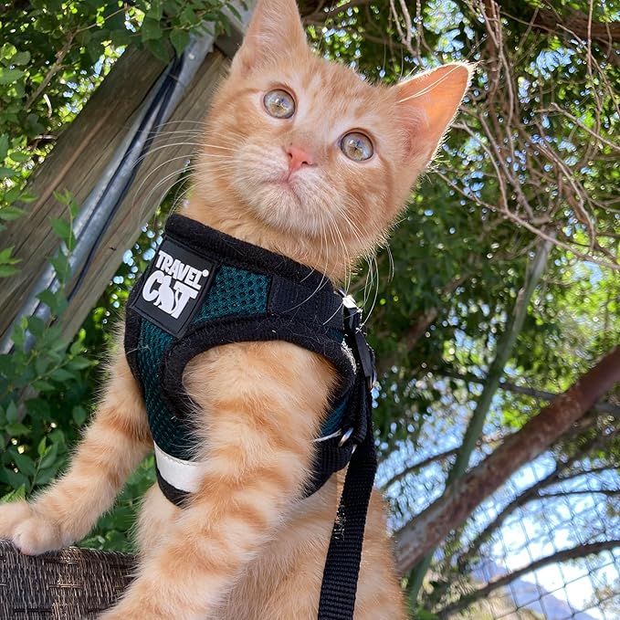 Travel Cat The Emerald Explorer Limited Edition Green Harness and Leash Set - Adjustable Fit Mesh Cat Harness with Reflective Strap - Escape Proof Harness for Cats, Kitten (Emerald, Extra Small)