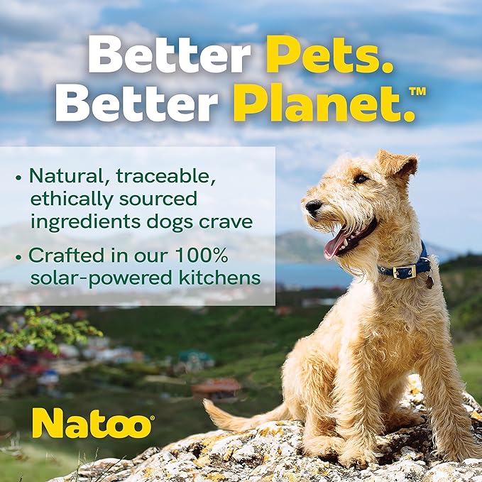 Natoo Dog Food Topper for Picky Eaters, Dog Treat (Chicken, Carrot, Brown Rice, & Quinoa) Dog Toppers for Dry Food, Wet Meal Toppers for Dogs & Puppies, Limited Ingredient Dog Food (Case of 20) 3oz Ea