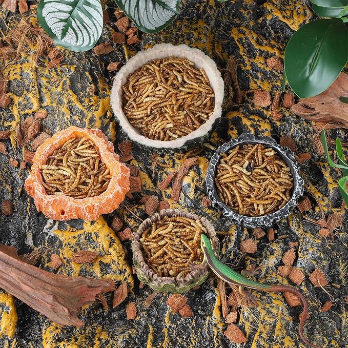 IBWell 2pcs Reptile Water Bowl with Feeding Tweezers - Food Dish for Lizard, Snake, Tortoise & Small Animals - Gray Tree Stump