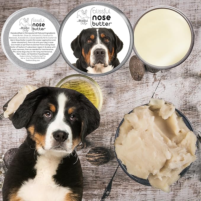 The Blissful Dog Greater Swiss Mountain Dog Unscented Nose Butter - Dog Nose Butter, 8 Ounce