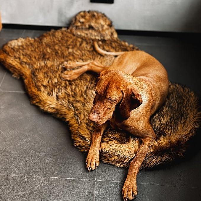 IHAPPYDOG Luxury Faux Fur Orthopedic Dog Bed, Memory Foam Dog Bed for Small, Medium, Large and XL Pets, Fluffy Pet Bed with Waterproof and Washable Cover (Brown, 60"x35")