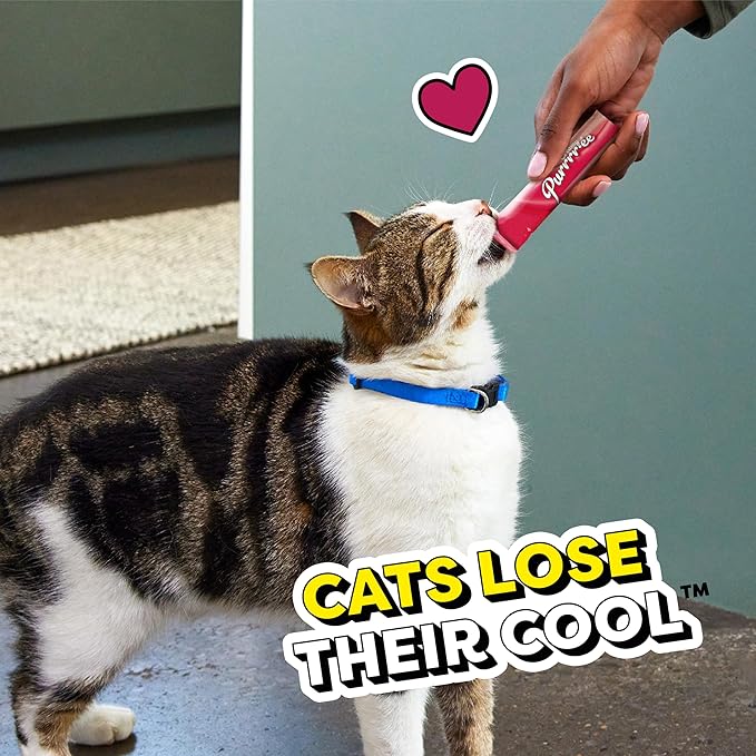 Temptations Creamy Puree Squeezable Lickable Wet Cat Treats with Beef Liver, 0.42 oz. Tubes, 4 Count, Pack of 11 (44 Total)