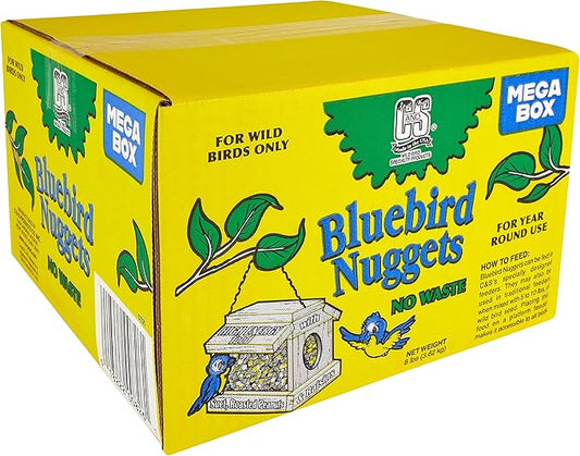 C&S Wild Bird Bluebird Suet Nuggets Mega Box, 8 Pounds