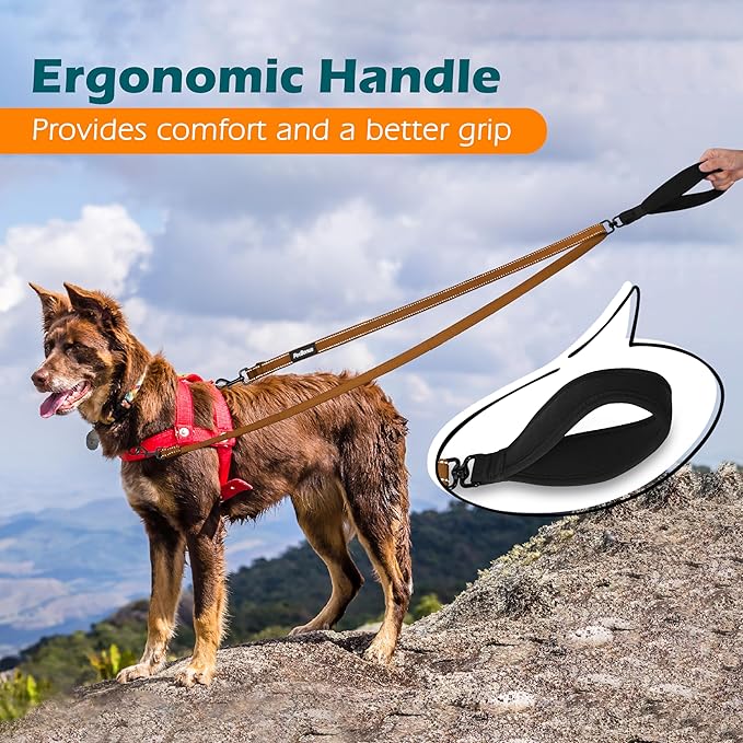 PetBonus Two Point Control Dog Leash, Works with No Pull Harnesses, No Tangle Dog Training Leashes, No Pull Padded and Reflective Walking Lead, Converts to Single Leash for Medium Large Dogs (Brown)
