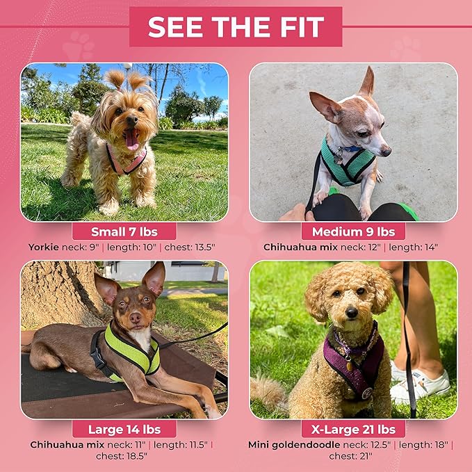 Gooby Comfort X Head In Harness - Green, Medium - No Pull Small Dog Harness Patented Choke-Free X Frame - Perfect on the Go Dog Harness for Medium Dogs No Pull or Small Dogs for Indoor and Outdoor Use