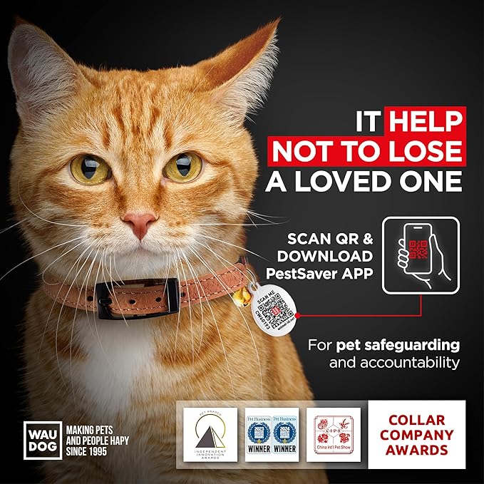 Leather Cat Collar with Bell and Safety Elastic Strap Breakaway Alternative for Small & Large Kittens, Stylish Pet Leather Collar for Boy, Girl Cats with Metal Buckle & QR ID Tag (Brown)